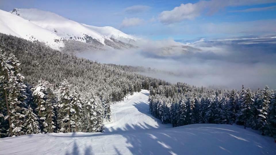 Fortuna Luxury Apartment Bansko Eksteriør bilde