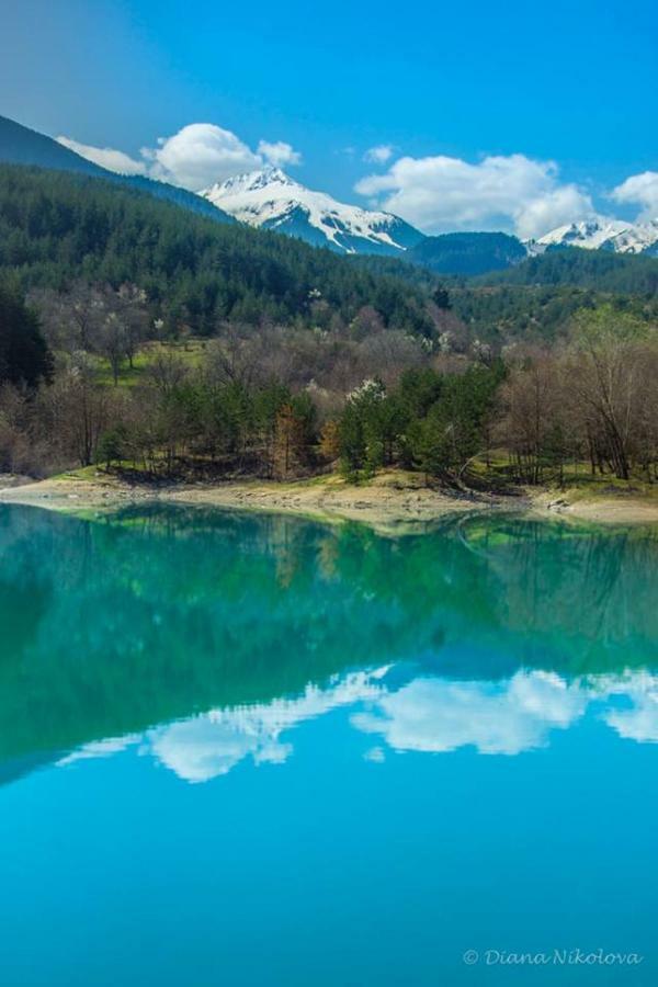 Fortuna Luxury Apartment Bansko Eksteriør bilde