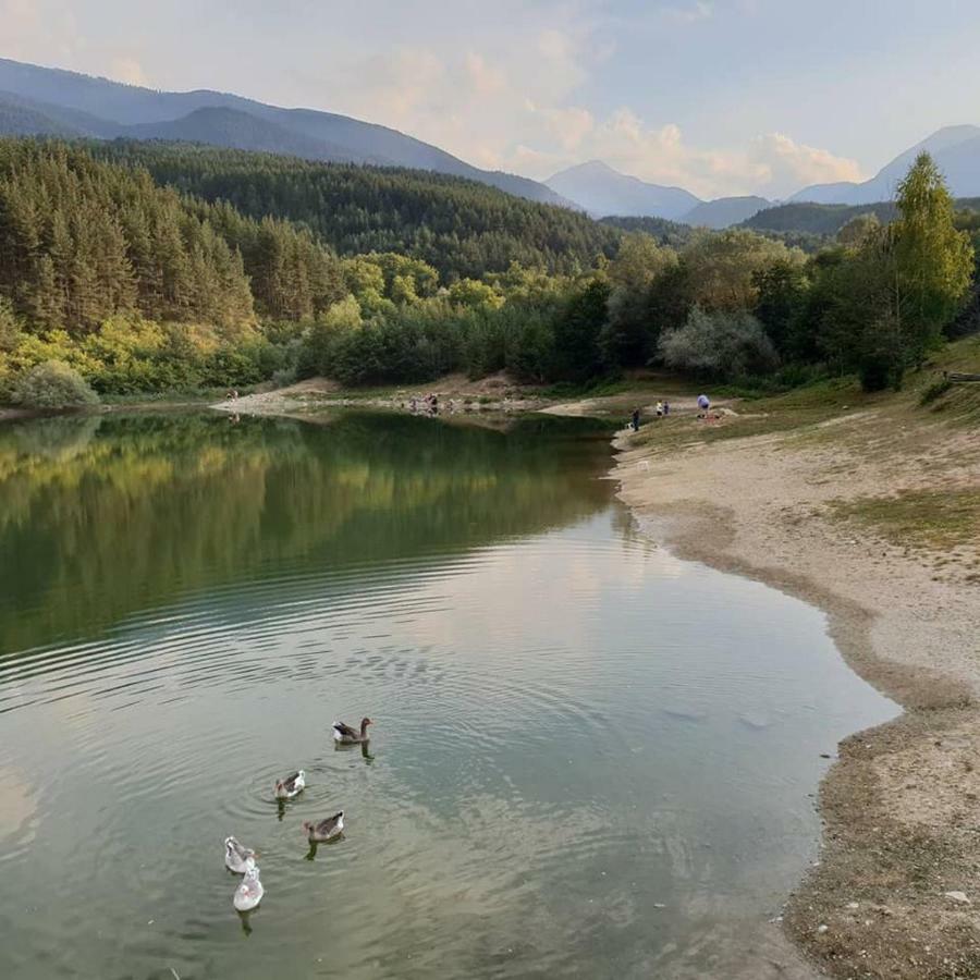 Fortuna Luxury Apartment Bansko Eksteriør bilde